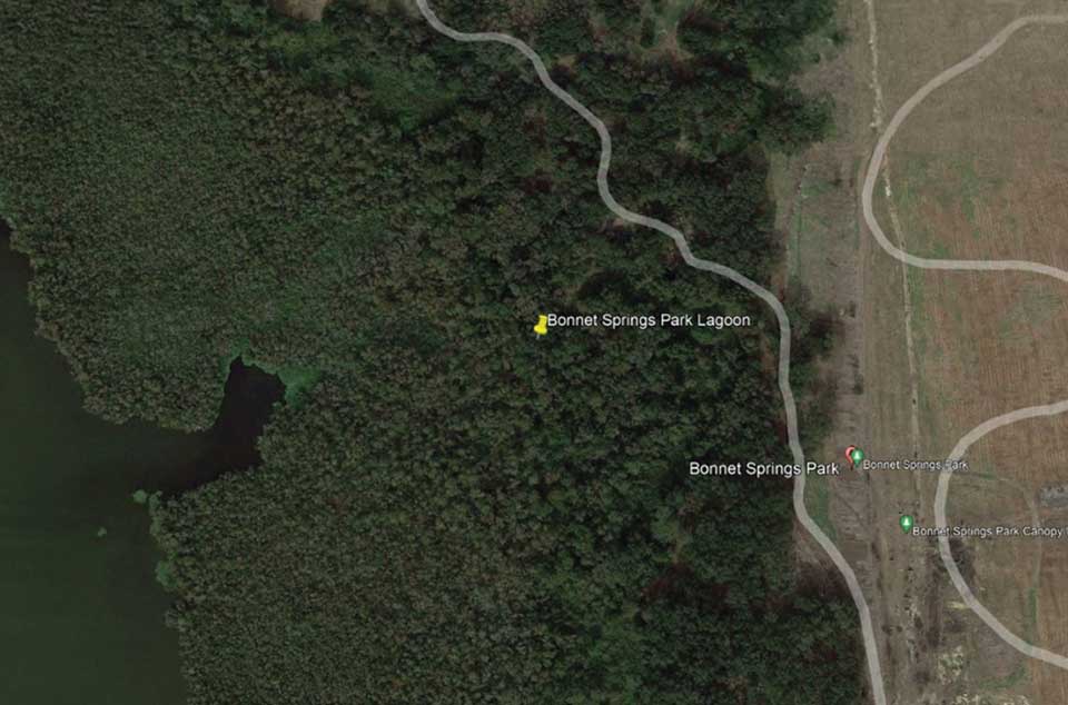 Bonnet Springs site before dredging, an existing swamp on an abandoned rail-spur site