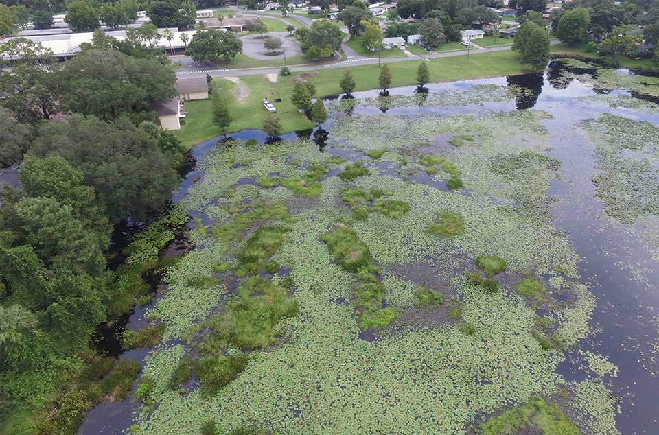 Lake Lorraine before restoration, silt and muck reducing the lake's depth